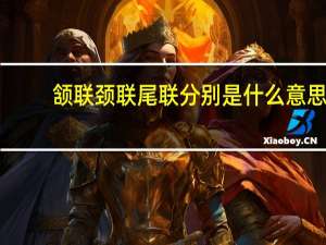 颔联颈联尾联分别是什么意思
