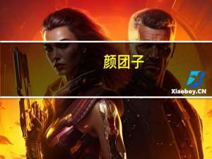 颜团子（关于颜团子的介绍）