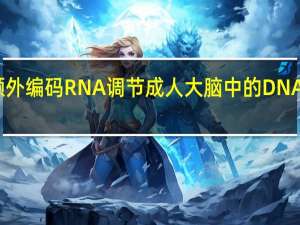 额外编码 RNA 调节成人大脑中的 DNA 甲基化