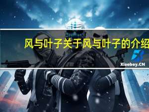 风与叶子 关于风与叶子的介绍