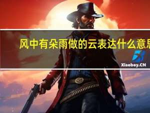 风中有朵雨做的云表达什么意思（风中有朵雨做的云评价）