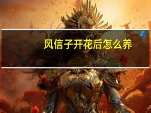 风信子开花后怎么养