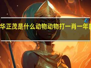 风华正茂是什么动物动物打一肖一年四季穿绵（风华正茂是什么动物）