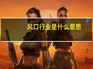 风口行业是什么意思