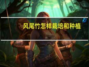 风尾竹怎样栽培和种植
