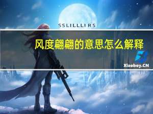 风度翩翩的意思怎么解释（风度翩翩的意思）