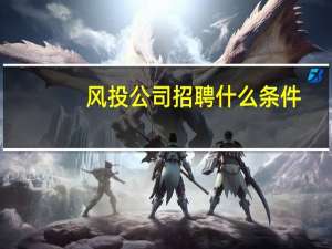 风投公司招聘什么条件