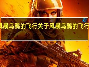 风暴乌鸦的飞行 关于风暴乌鸦的飞行的介绍