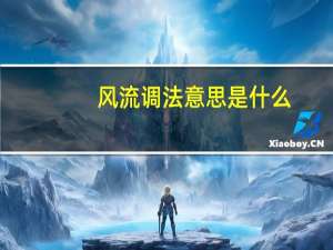 风流调法意思是什么