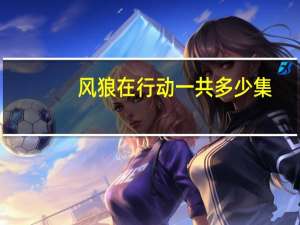 风狼在行动一共多少集（风狼在行动）