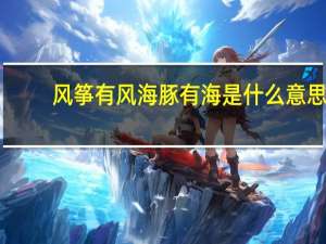 风筝有风海豚有海是什么意思