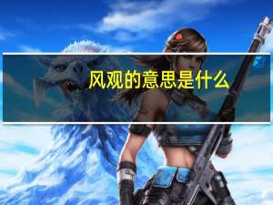 风观的意思是什么