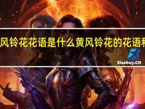 风铃花花语是什么 黄风铃花的花语和寓意