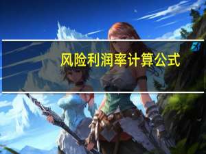 风险利润率计算公式