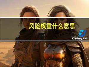 风险权重什么意思
