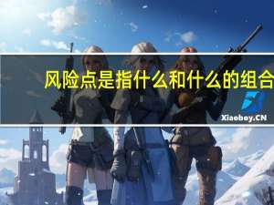 风险点是指什么和什么的组合