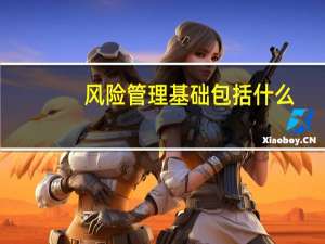 风险管理基础包括什么