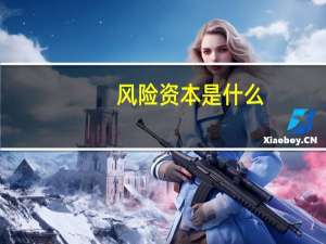 风险资本是什么
