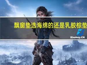 飘窗垫选海绵的还是乳胶棕垫