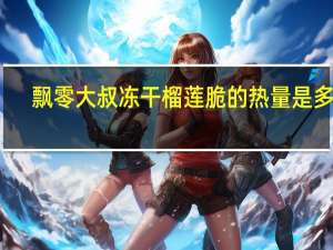 飘零大叔 冻干榴莲脆的热量是多少