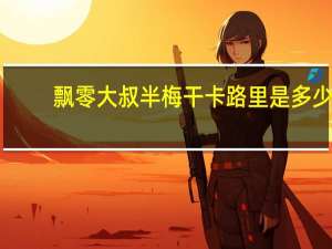 飘零大叔 半梅干卡路里是多少