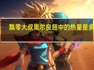 飘零大叔 奥尔良翅中的热量是多少