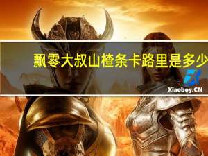 飘零大叔 山楂条卡路里是多少