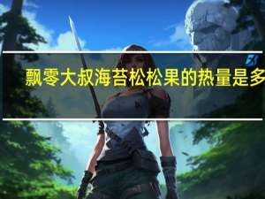 飘零大叔 海苔松松果的热量是多少