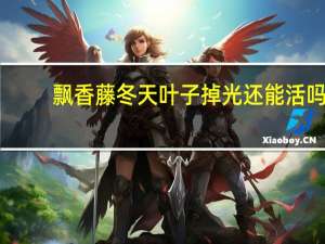 飘香藤冬天叶子掉光还能活吗