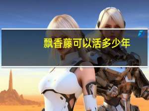 飘香藤可以活多少年