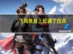 飞凤鱼身上起满了白点（飞凤鱼）