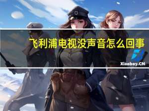 飞利浦电视没声音怎么回事