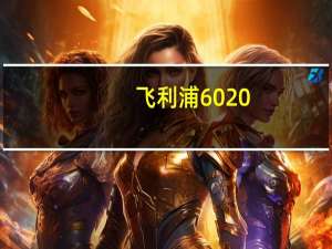 飞利浦6020（飞利浦打印机lasermfd6020怎样安装）