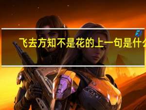 飞去方知不是花的上一句是什么