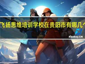 飞扬思维培训学校在贵阳市有哪几个校区