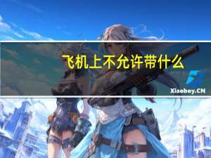 飞机上不允许带什么