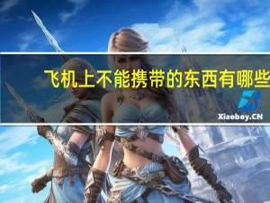 飞机上不能携带的东西有哪些