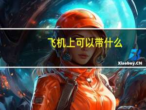 飞机上可以带什么