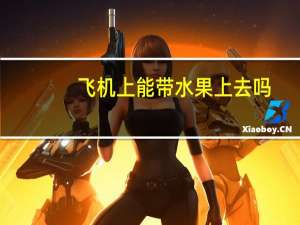 飞机上能带水果上去吗
