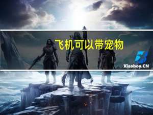 飞机可以带宠物