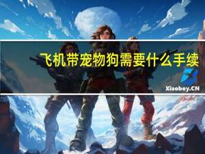 飞机带宠物狗需要什么手续