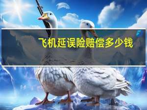 飞机延误险赔偿多少钱