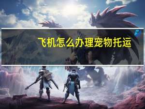 飞机怎么办理宠物托运
