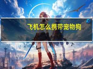 飞机怎么携带宠物狗