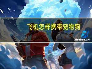 飞机怎样携带宠物狗