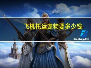 飞机托运宠物要多少钱