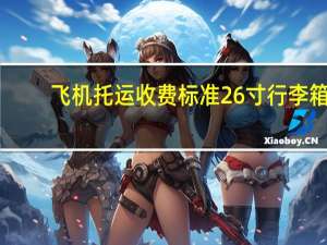 飞机托运收费标准26寸行李箱（飞机托运收费标准）