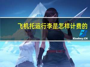 飞机托运行李是怎样计费的