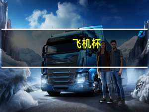 飞机杯（关于飞机杯的介绍）