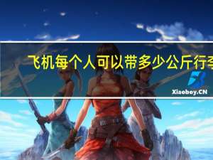 飞机每个人可以带多少公斤行李